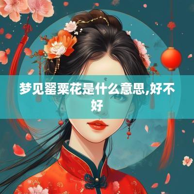 梦见罂粟花是什么意思,好不好