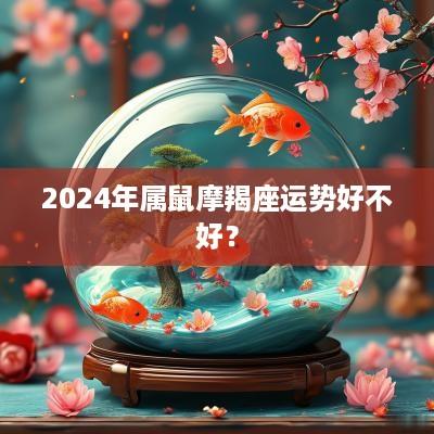 2025年属鼠摩羯座运势好不好？