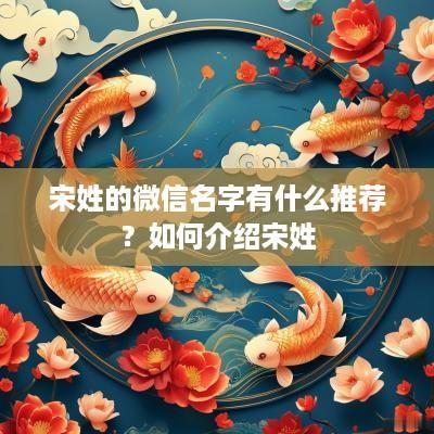 宋姓的微信名字有什么推荐？如何介绍宋姓