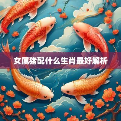 女属猪配什么生肖最好解析
