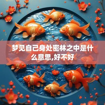 梦见自己身处密林之中是什么意思,好不好