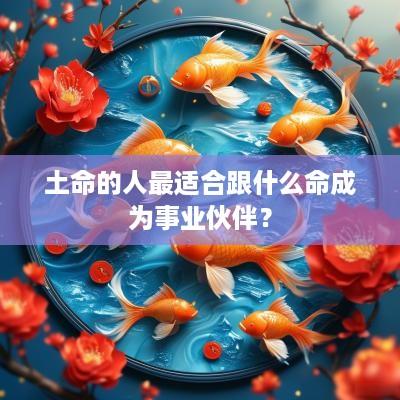 土命的人最适合跟什么命成为事业伙伴？
