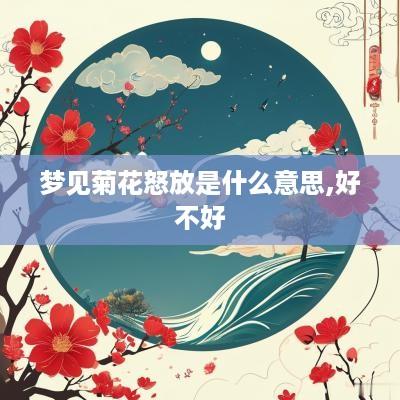 梦见菊花怒放是什么意思,好不好
