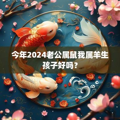 今年2025老公属鼠我属羊生孩子好吗？