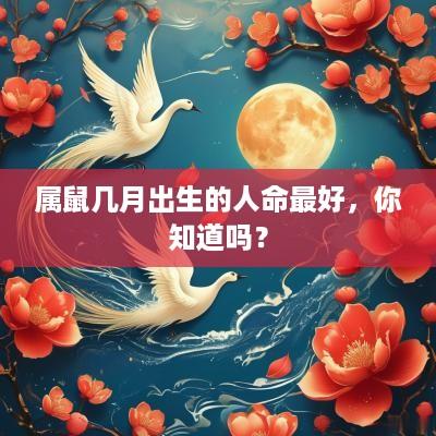 属鼠几月出生的人命最好，你知道吗？