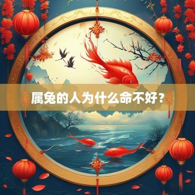 属兔的人为什么命不好？