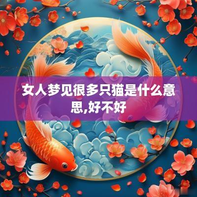 女人梦见很多只猫是什么意思,好不好