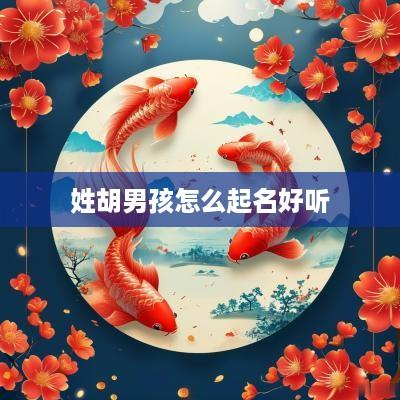 姓胡男孩怎么起名好听
