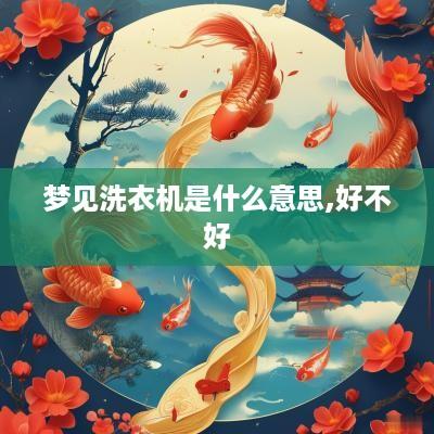梦见洗衣机是什么意思,好不好