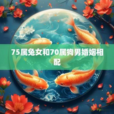 75属兔女和70属狗男婚姻相配