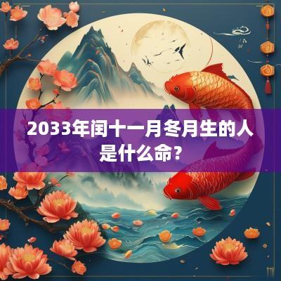 2033年闰十一月冬月生的人是什么命？