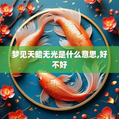 梦见天暗无光是什么意思,好不好