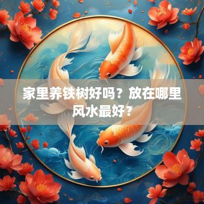 家里养铁树好吗？放在哪里风水最好？