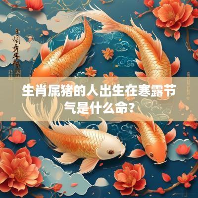 生肖属猪的人出生在寒露节气是什么命？