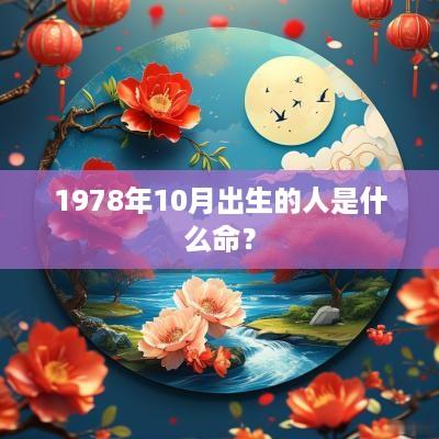 1978年10月出生的人是什么命？