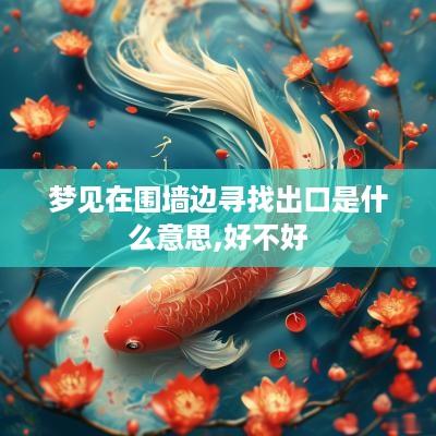梦见在围墙边寻找出口是什么意思,好不好