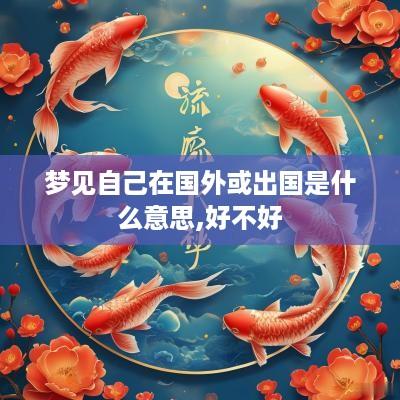 梦见自己在国外或出国是什么意思,好不好