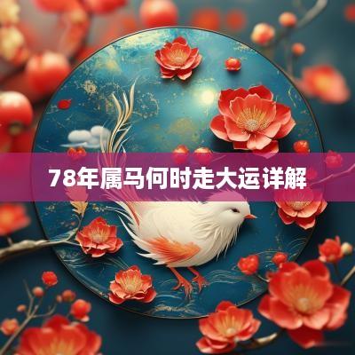 78年属马何时走大运详解