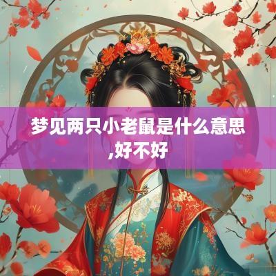 梦见两只小老鼠是什么意思,好不好