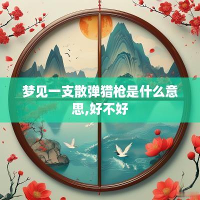 梦见一支散弹猎枪是什么意思,好不好