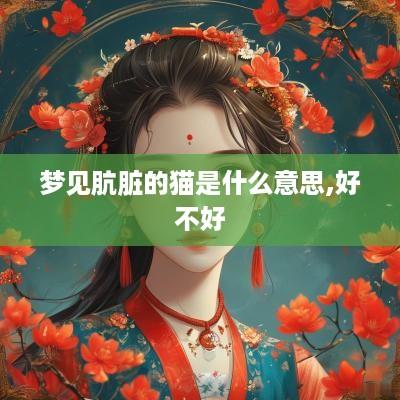 梦见肮脏的猫是什么意思,好不好