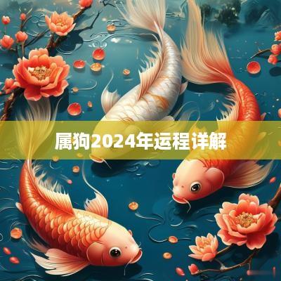 属狗2025年运程详解