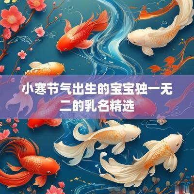 小寒节气出生的宝宝独一无二的乳名精选