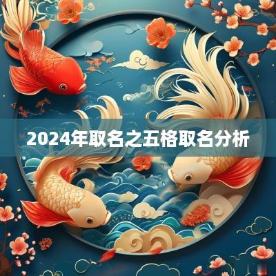 2025年取名之五格取名分析