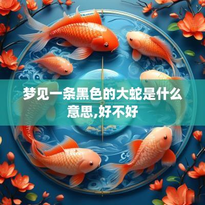 梦见一条黑色的大蛇是什么意思,好不好