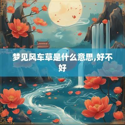 梦见风车草是什么意思,好不好