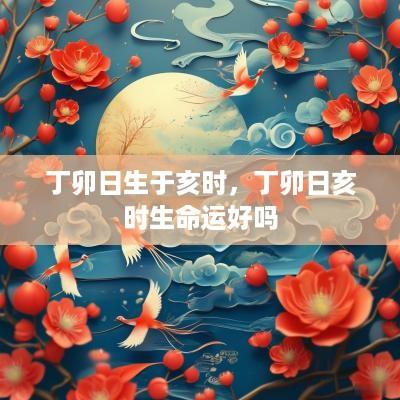丁卯日生于亥时，丁卯日亥时生命运好吗