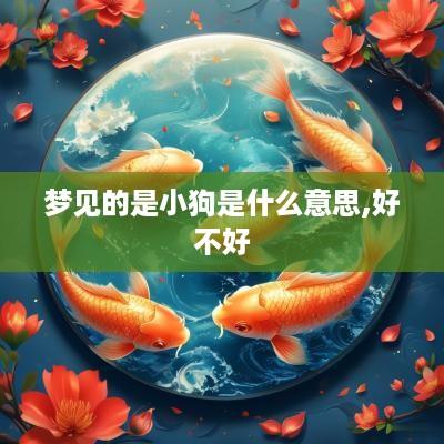 梦见的是小狗是什么意思,好不好