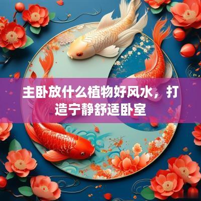 主卧放什么植物好风水，打造宁静舒适卧室