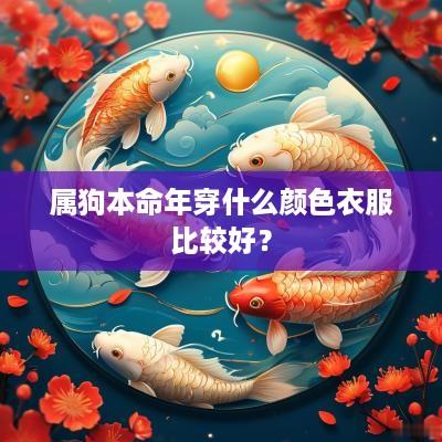 属狗本命年穿什么颜色衣服比较好？
