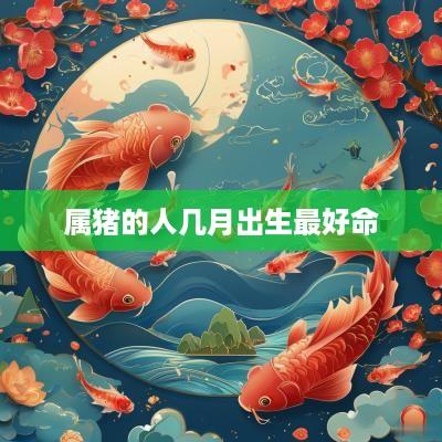 属猪的人几月出生最好命