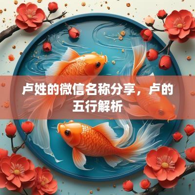 卢姓的微信名称分享，卢的五行解析