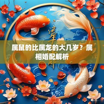 属鼠的比属龙的大几岁？属相婚配解析