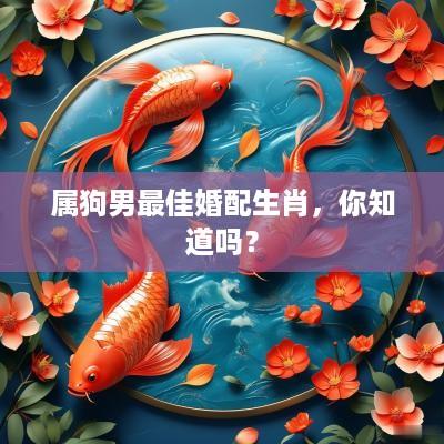属狗男最佳婚配生肖，你知道吗？
