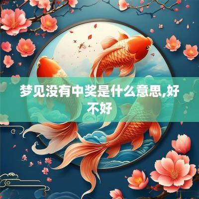 梦见没有中奖是什么意思,好不好