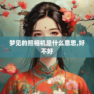 梦见的照相机是什么意思,好不好
