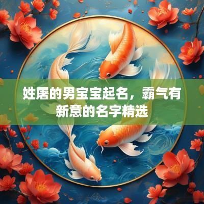 姓屠的男宝宝起名，霸气有新意的名字精选
