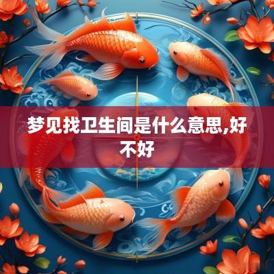 梦见找卫生间是什么意思,好不好