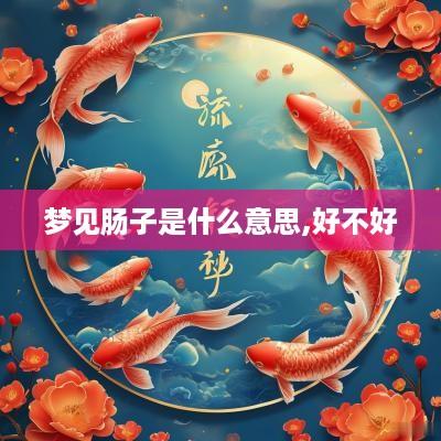 梦见肠子是什么意思,好不好