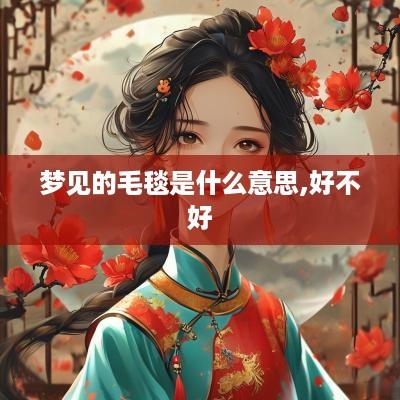梦见的毛毯是什么意思,好不好