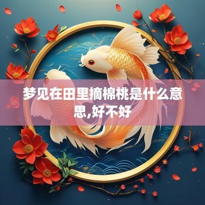 梦见在田里摘棉桃是什么意思,好不好