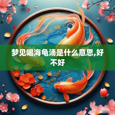 梦见喝海龟汤是什么意思,好不好