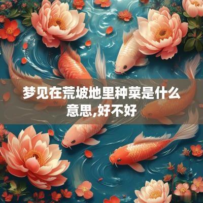 梦见在荒坡地里种菜是什么意思,好不好