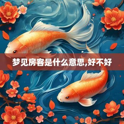 梦见房客是什么意思,好不好