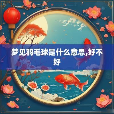 梦见羽毛球是什么意思,好不好