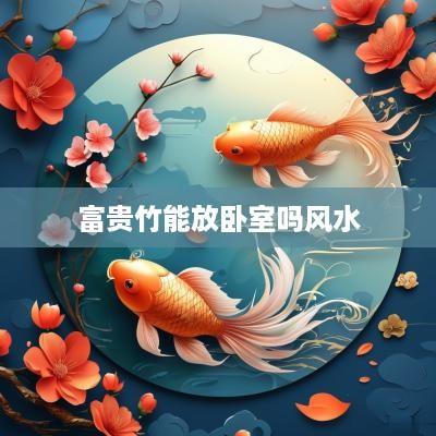 富贵竹能放卧室吗风水